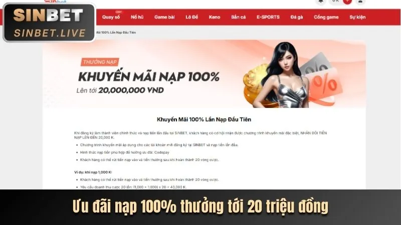 Chương trình VIP độc quyền 90ok casino